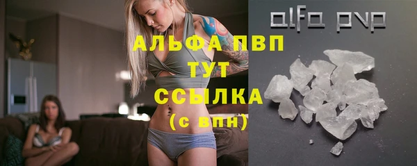 стаф Струнино