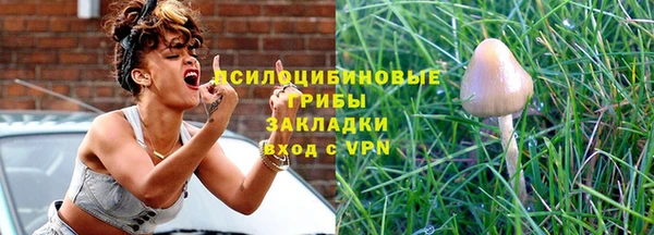 mix Сосновый Бор